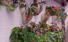 Hostal 4C Cuatro Caminos